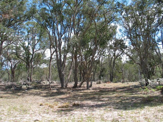 The view west from the confluence