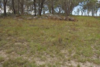 #1: The confluence point lies in rock-strewn farmland