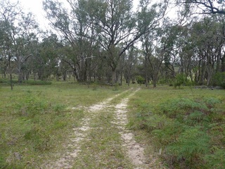 #1: The confluence from 20m