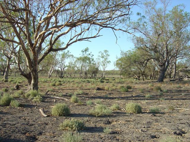 View to the south