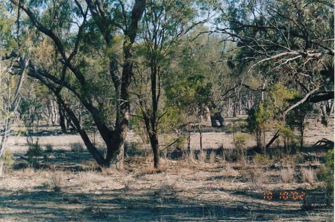 Looking south from the confluence towards the fence line.