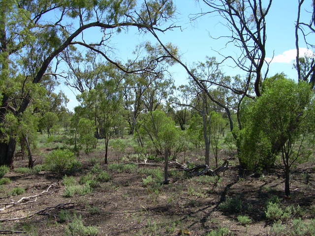 Another view from the confluence