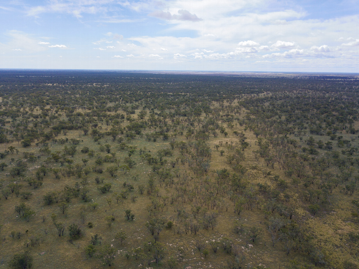 View North, from 120m above the point