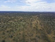 #8: View North, from 120m above the point