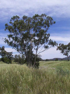 #1: View from the confluence