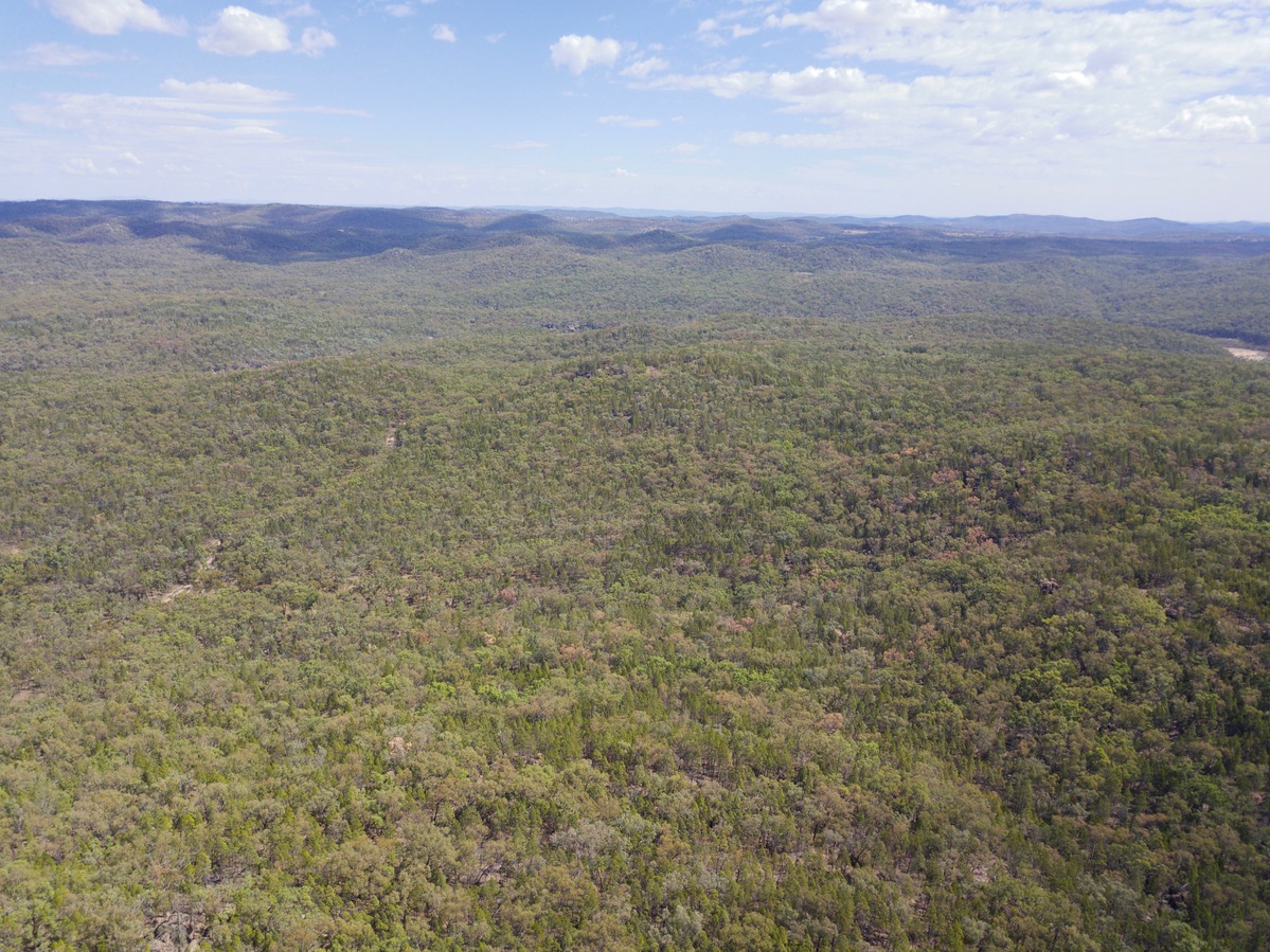 View West from 120m above the point