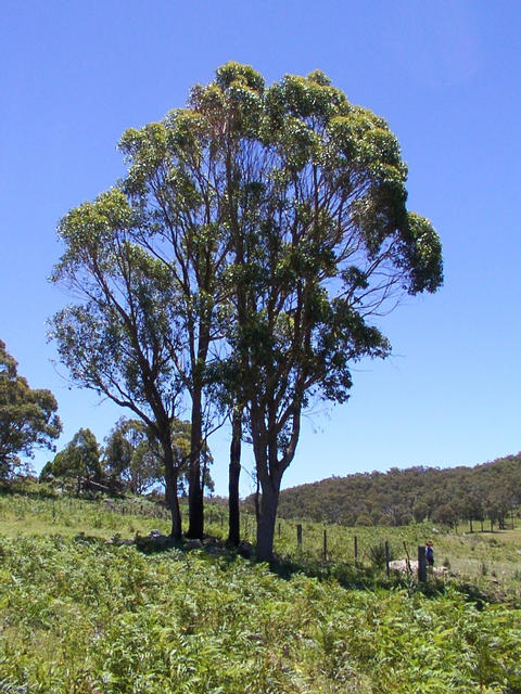 View from the confluence