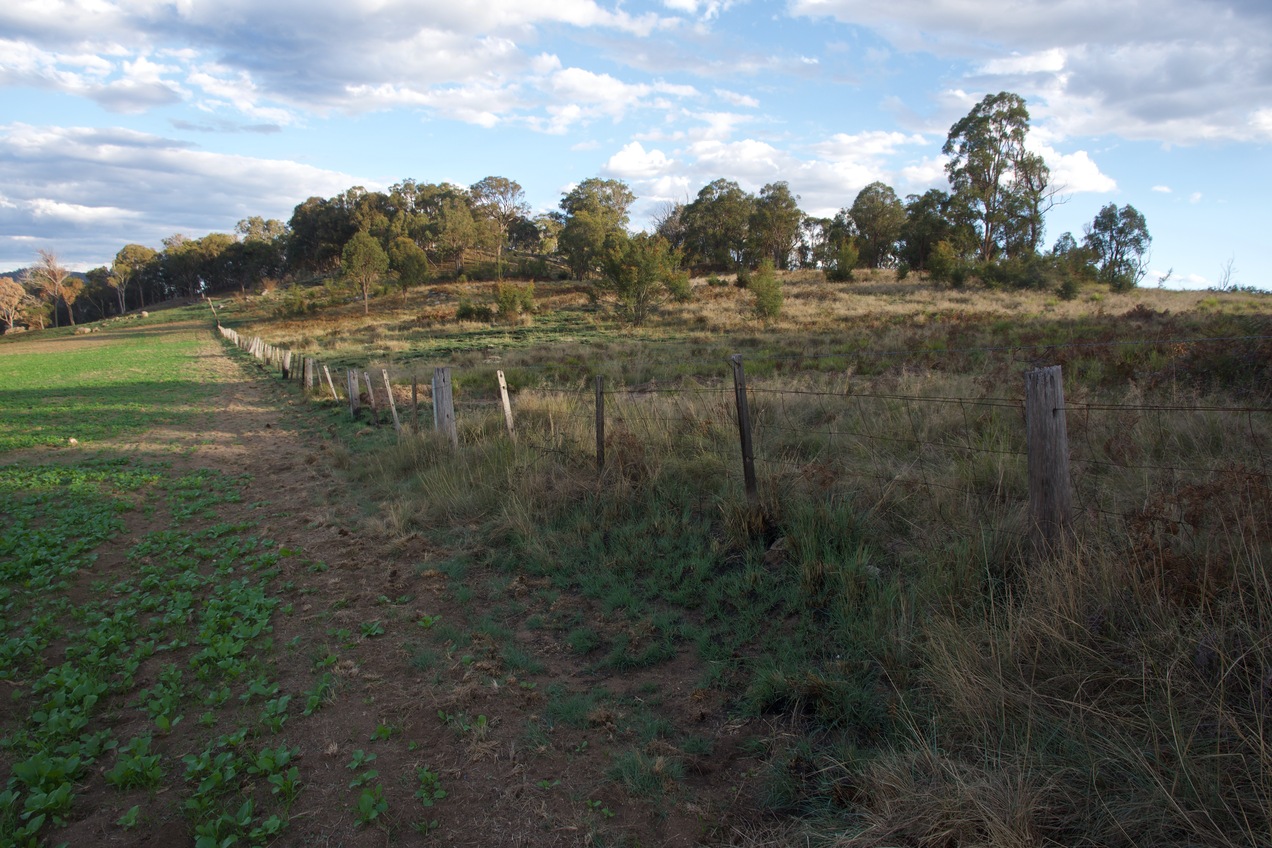 The confluence point is located near the boundary between a farm field and feral land surrounding a scenic hill.  (This is also a view to the South.)