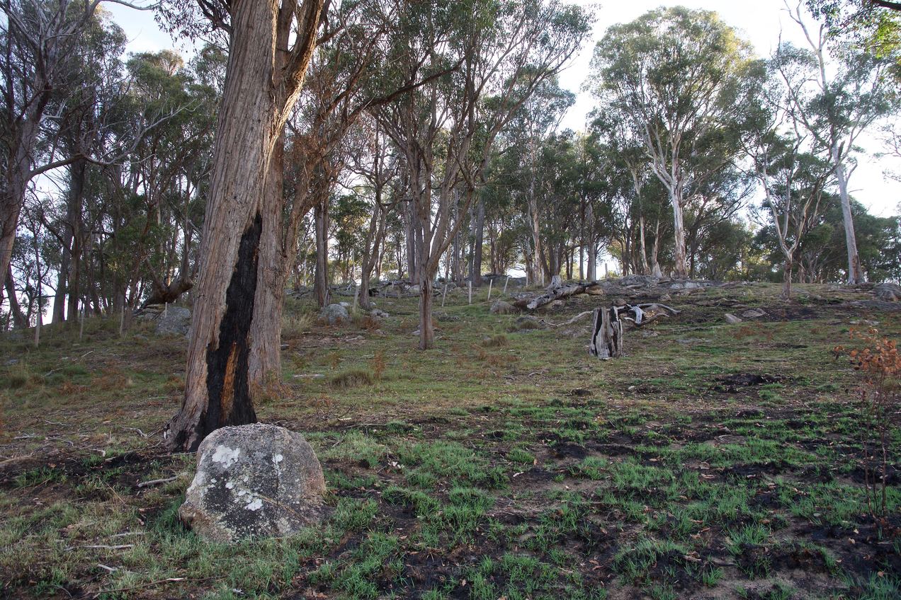 A view of the scenic rock-filled hill located just southwest of the point