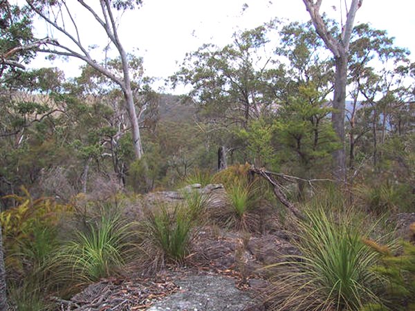 Some of the terrain