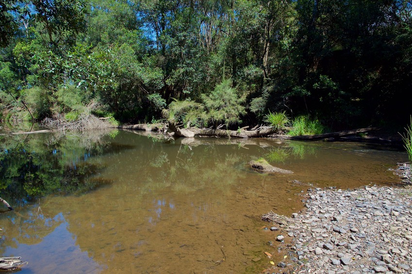 Crossing the Orara River, about 1 km from the point