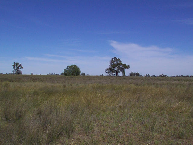 View from the confluence