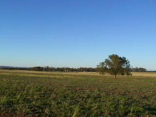 #1: View from the confluence