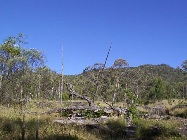 View from the confluence