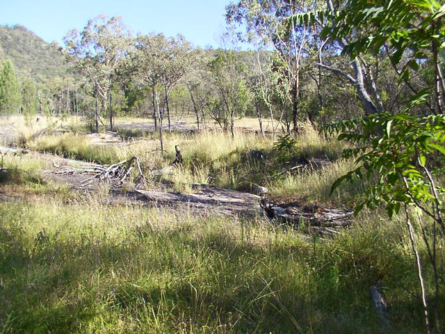 View from the confluence