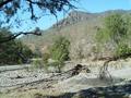 #5: A shot of the confluence(!) of the Aspley River and Rowleys Creek looking south-east. Note that Rowleys Creek is completely dry and the Aspley River is barely flowing.