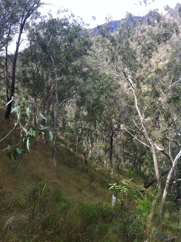 View facing East of the confluence point