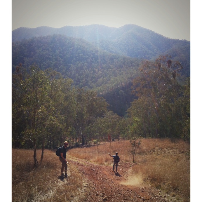 Beautiful walking in Oxley Wild Rivers