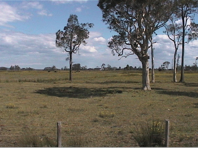 The Confluence is in the middle of flood plain beside the Macleay River.