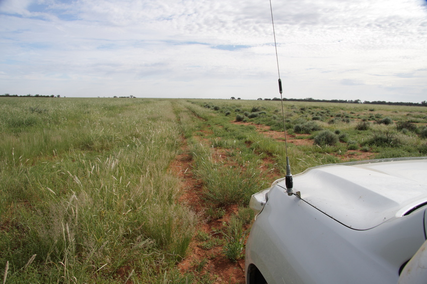 The Track in 3km to the South