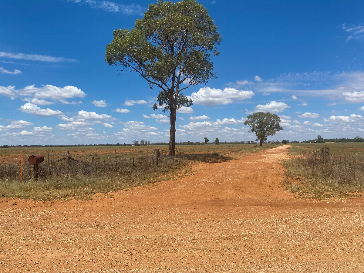 Looking South towards the point from the farm entrance, 450m away