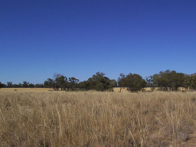 View from the confluence