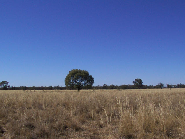 View from the confluence