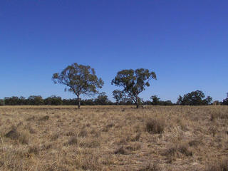 #1: View from the confluence