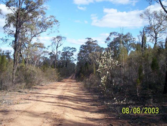 This is a view of the road to get to the site.