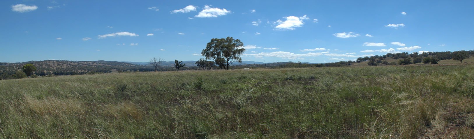 Looking north-east..