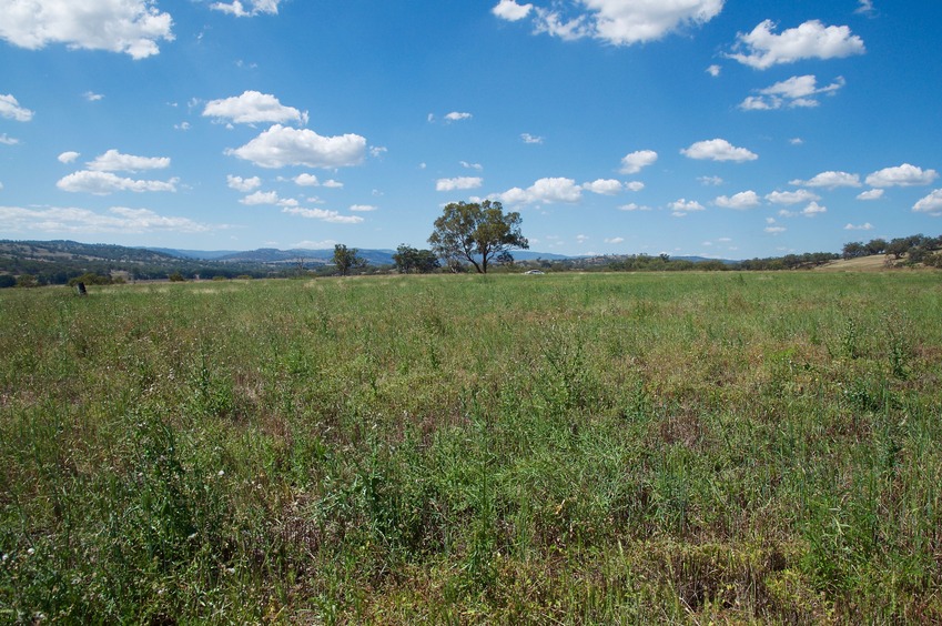 View North (towards Darkwood Road, 120 m away)