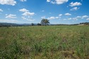 #3: View North (towards Darkwood Road, 120 m away)