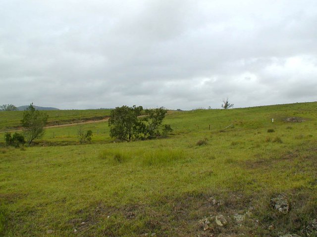 Looking east from the confluence