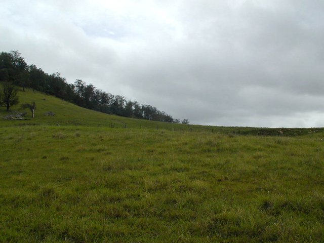 Looking west from the confluence