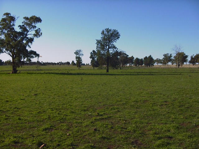 Looking north - a flat plain