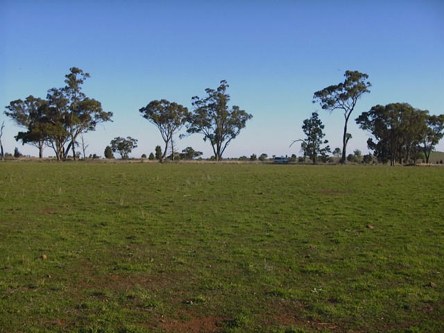 Looking south - a flat plain