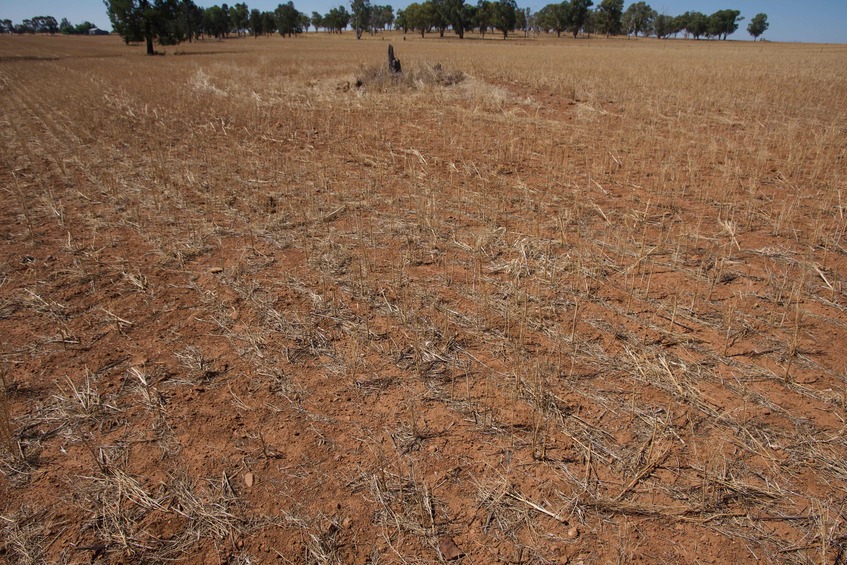 The confluence point lies in a fallow farm field