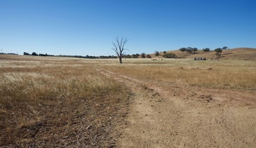 #1: The confluence point lies in this farm field, 317m away