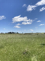 #5: West view with Beri House and the Anglican Church