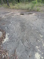 #11: Aboriginal Engraving