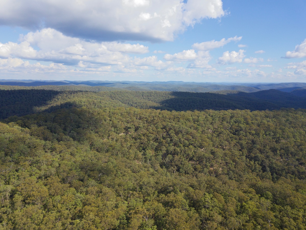 View South, from 120m above the point