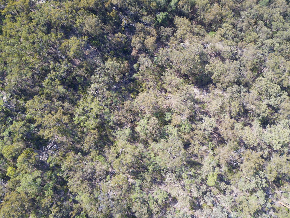 Looking down on the point from 120m above