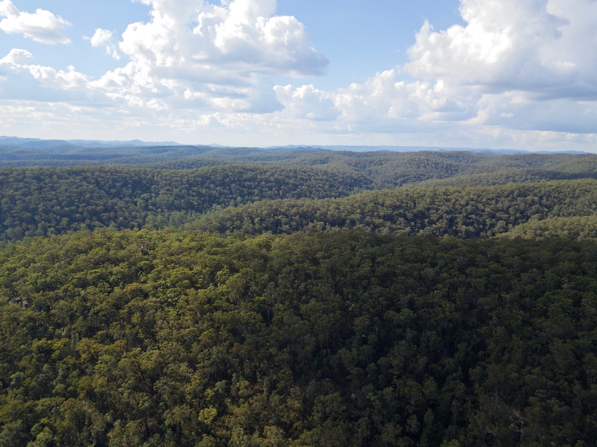 View North, from 120m above the point