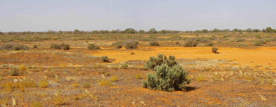 General View of Confluence Area