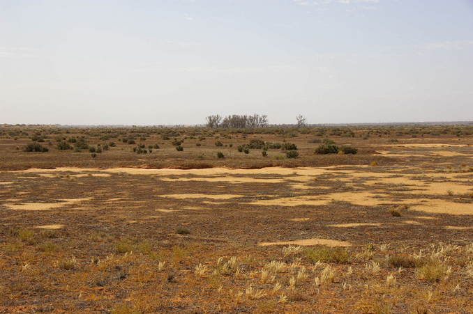 Looking North From Confluence