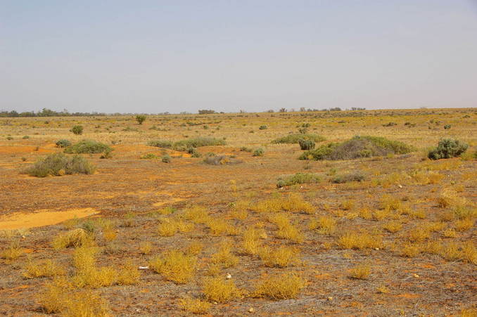 Looking South From Confluence