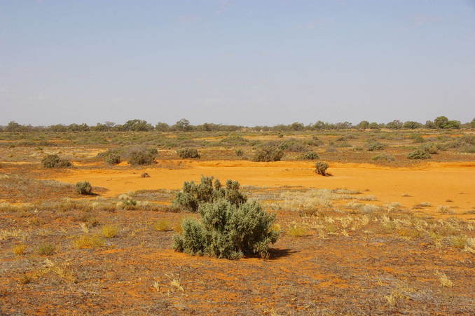 Looking East From Confluence