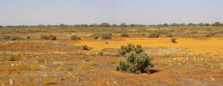 #1: General View of Confluence Area