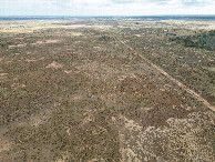 #8: View North, from 120m above the point