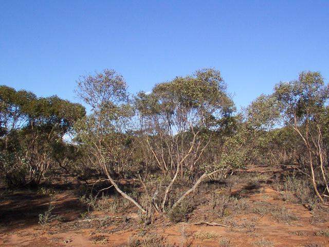 Main view looking towards where the confluence is